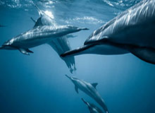 九游体育app官方下载-“娄超”揭幕战二次开票，今日16:00正式开售门票